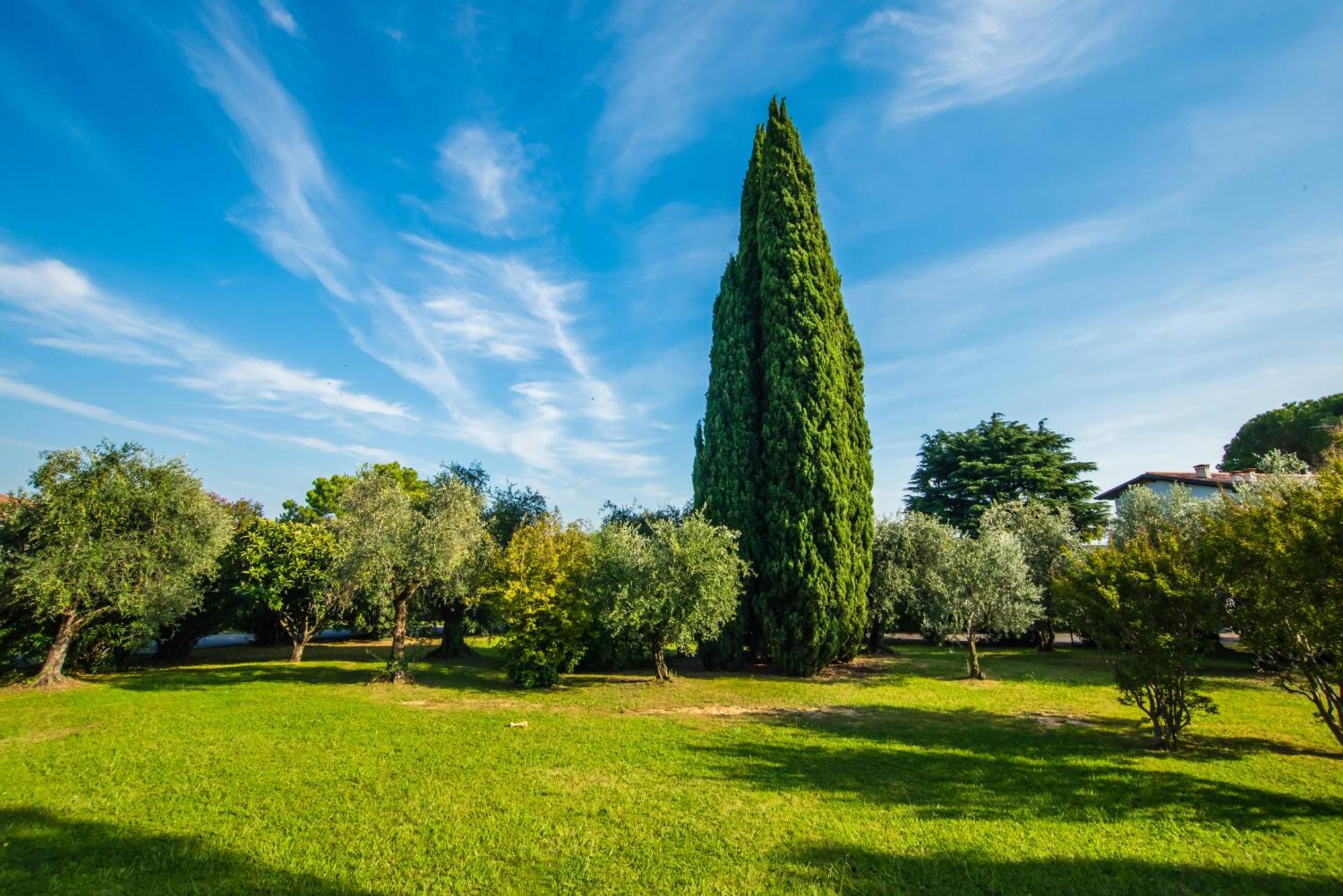 Marialuisa'S Home - Residence Gardoncino Манерба-дель-Гарда Екстер'єр фото